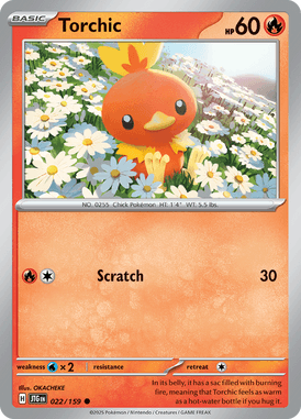 Torchic — Journey Together