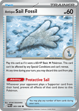 Antique Sail Fossil — Perfect Order